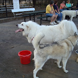 DSC01029.JPG