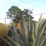 DSC01728.jpg