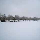 IMG_9934.JPG