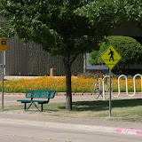 IMG_1780.JPG