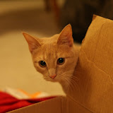 IMG_5690.JPG