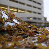 IMG_5761.JPG