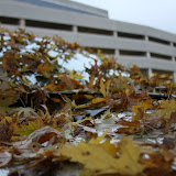 IMG_5798.JPG