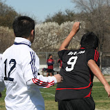 IMG_1687.JPG