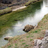 IMG_7701.JPG