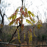 IMG_7741.JPG