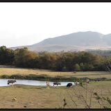 South Africa Tour 2010