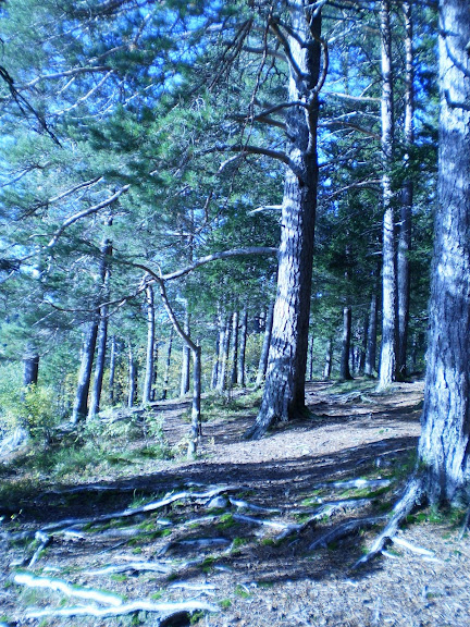 P9190104.JPG