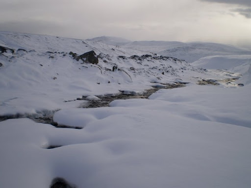 PA110109.JPG