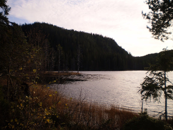 PA240178.JPG