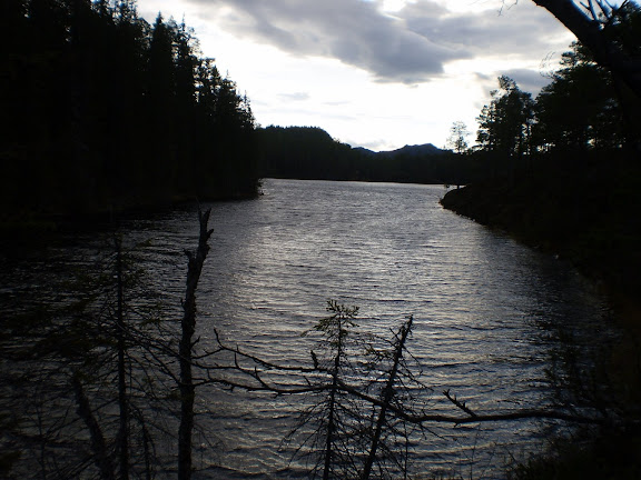 PA250270.JPG