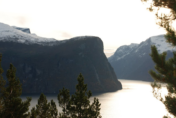 DSC_1709.JPG