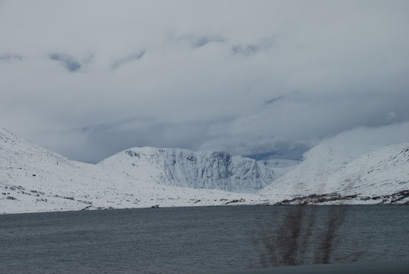 DSC_1804.JPG