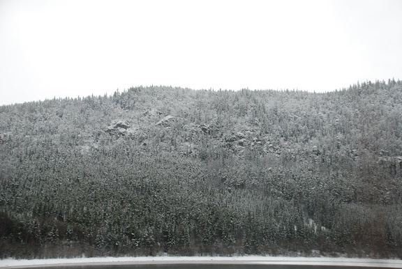 DSC_1815.JPG