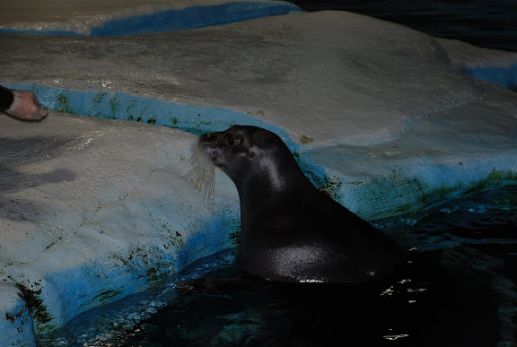 DSC_0287.JPG