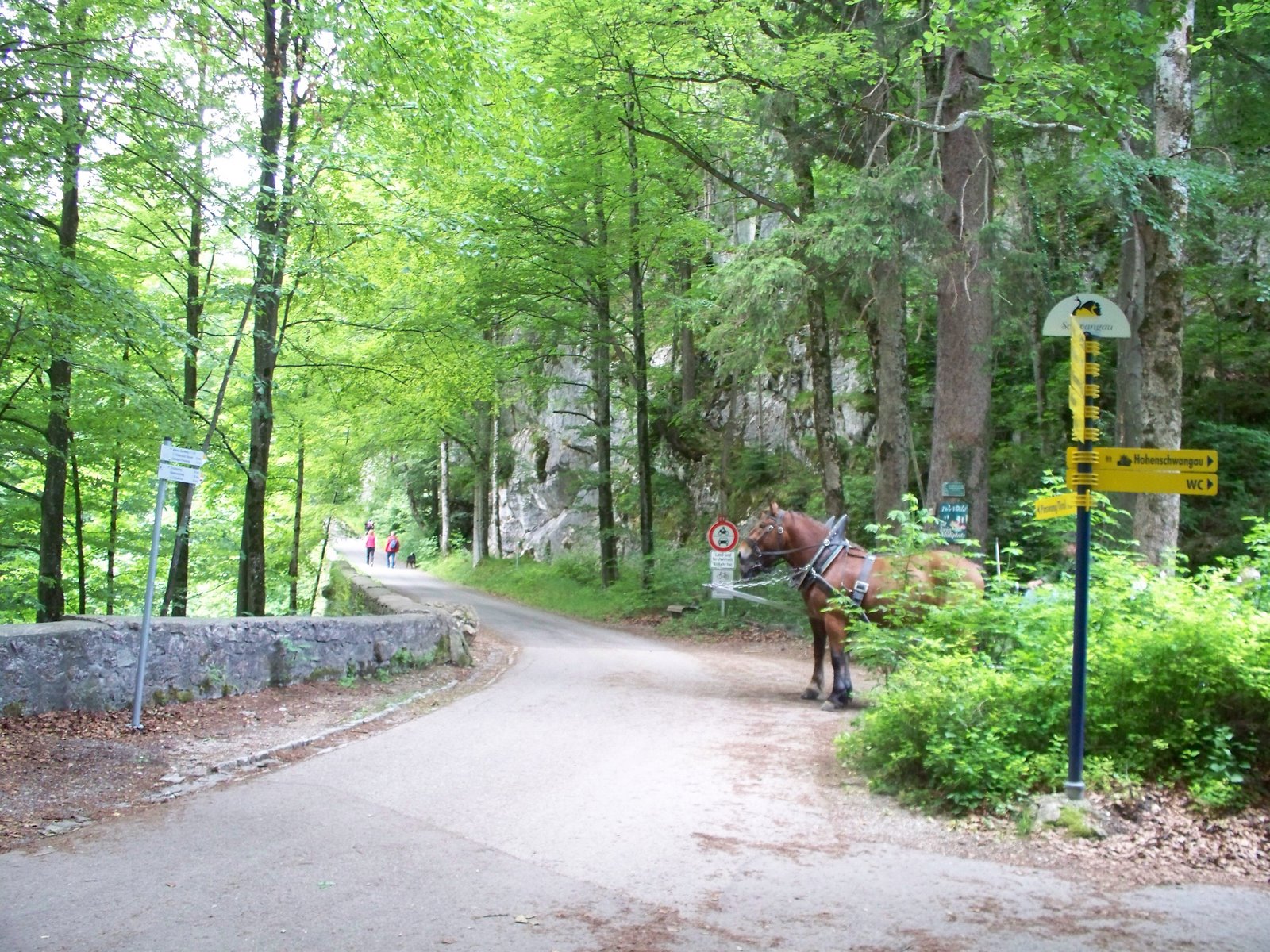[100_17204.jpg]
