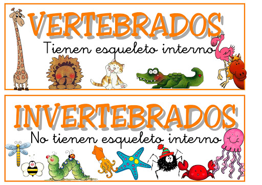 animales vertebrados e invertebrados imagenes