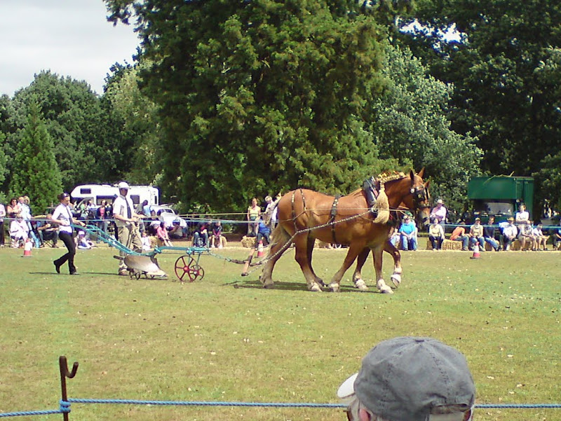 DSC00823.JPG