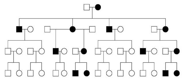 Pedigree showing maternal inheritance of a trait caused by a mutation in mitochondrial DNA. All offspring of affected women are also affected, while none of the offspring of affected males are affected 