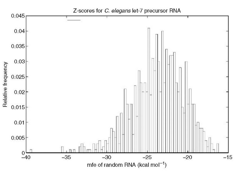 Histogram of the mfe for 1000 random RNAs, each having the same (exact) dinucleotide frequency as that in C. elegans let-7 precursor RNA. Mean mfe is -23.54 kcal mol-1 with standard deviation 3.23, hence the Z-score for let-7 precursor RNA is -42'90-2-23'54) or roughly -6. Random RNA produced by the method of Workman and Krogh (1999) as implemented in Clote et al. (2005) (minimum free energy computed using RNAfold) 