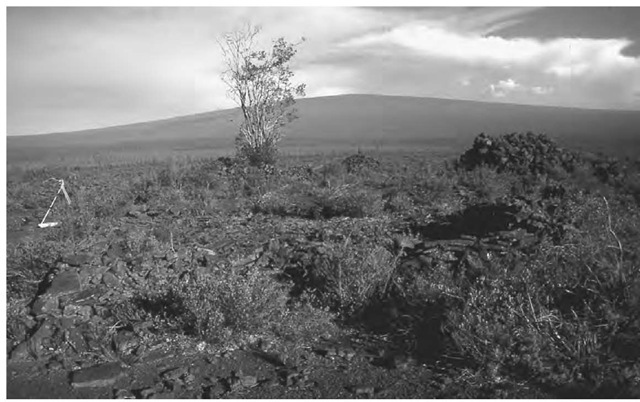 The ruins of the highest heiau in Hawai'i, Ahu a 'Umi, at an elevation of 1600 meters (5250 feet) in the saddle of the Big Island. In the background of this view is the volcano Mauna Loa. 