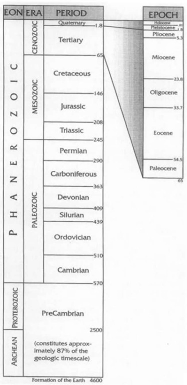 Geological time scale. Dates along the right margin are millions of years before present. Geochronologic ages arc not shown. 