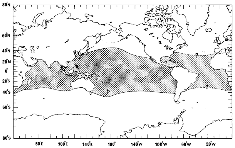 Worldwide distribution of Bryde's whales based on published or available information. Dense hatch represents areas in which higher densities arc expected.