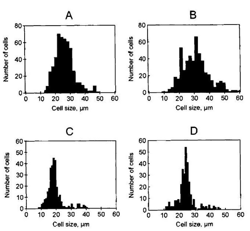 Histograms showing size distributions of ganglion cells in the retina of cetaceans and pinnipeds. Abscissa axis, cell size: ordinate axis, number of cells of the present size. (A and B) Data from a common bottlenose dolphin; samples from areas of high (A) and low (B) cell densities. (C and D) The same for a northern fur seal. 