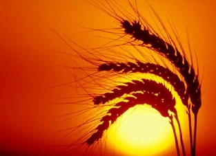 [Pojt 0038 003 Quarejma[5].jpg]