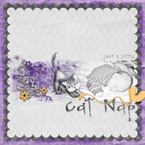 [Cat-Napsmall1[4].jpg]