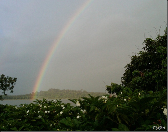 IMG00019-20100715-1536