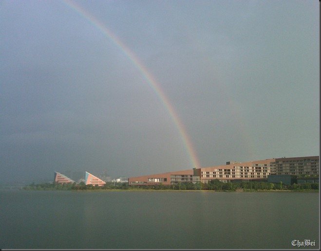 IMG00020-20100715-1537