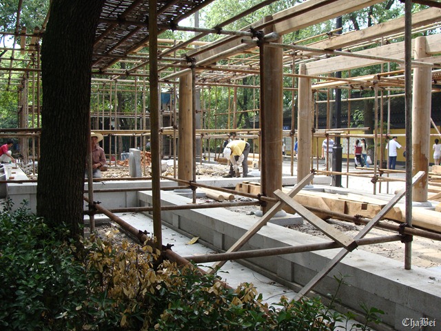 [DSC009776.jpg]