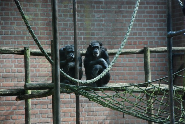 DSC_6875.JPG