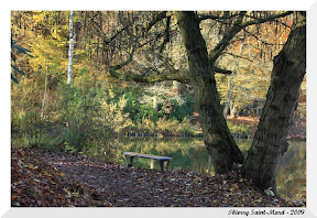 Derni&egrave;res couleurs de l'automne