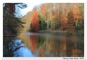 Derni&egrave;res couleurs de l'automne