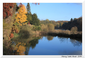 Derni&egrave;res couleurs de l'automne