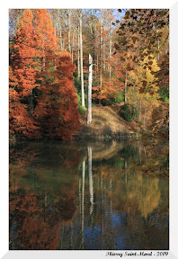 Derni&egrave;res couleurs de l'automne