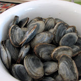 Littlenecks from Captain Ricks