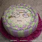Torta 2D