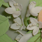 Nº103: Florcitas pequeñas de pasta de goma.