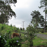 IMG_1678.jpg
