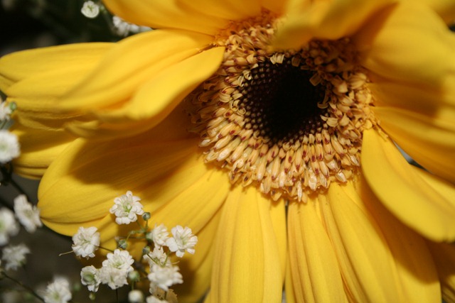 [IMG_90332.jpg]