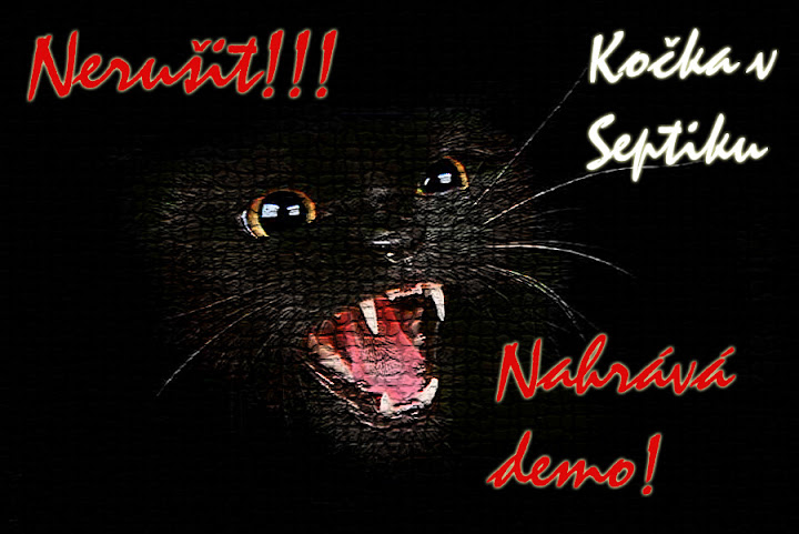 Kočka a demo