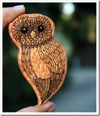 owl
