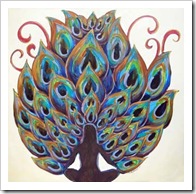 the peacock aura soarer_tiny
