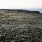 Tarkhankut