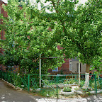 Poltava
