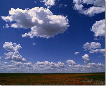 Sky1 Sky1