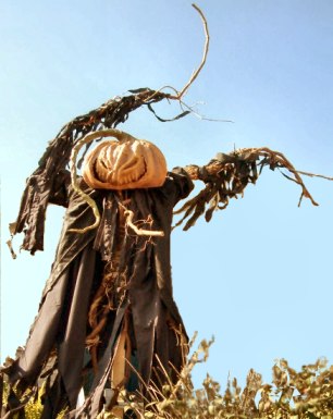 Scarecrow Da Black Cat Bone Scarecrow Da Black Cat Bone